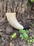 Drinking Horn 230ml - comprar online