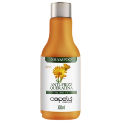 SHAMPOO CAPELY ANTI-FRIZZ 300ML - HOBETY