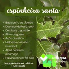 Chá de Espinheira Santa 100gr - comprar online