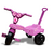 Tricilo Infantil Velotrol com Empurrador Modelos Kepler - comprar online