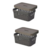 Kit 2 Cestos Organizador 4,5L com Tampa Marrom (26x18cm) - loja online