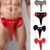 Lingerie Erótica Fantasia Masculina Elefantinh