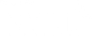 Nydd Lingerie