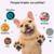 Limpia Pata Para Mascotas Copa Limpiador Lava Perros Gatos Grande - comprar online
