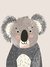 Koala 1 - comprar online