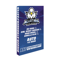 ALL STARS USA AUTOMIX x12 BSF en internet