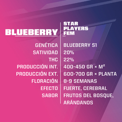 BLUEBERRY FEM x4 BSF - comprar online