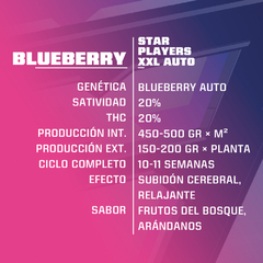 BLUEBERRY XXL AUTO BSF X2 - comprar online