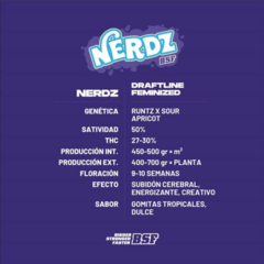 Nerdz x12 BSF - comprar online