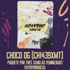 Choco Og (CH1439XMT) x3 1439criadores