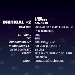 CRITICAL +2 XXL AUTO BSF X2 - comprar online