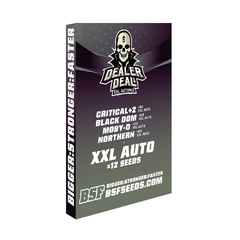 DEALER DEAL XXL AUTOMIX x12 BSF en internet