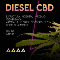 DIESEL CBD SE+ X3 - comprar online