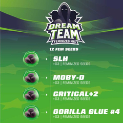 DREAM TEAM FEMINIZED MIX x12 BSF - comprar online