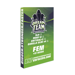 DREAM TEAM FEMINIZED MIX x12 BSF en internet