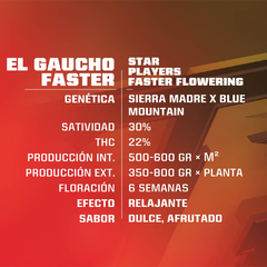 EL GAUCHO FASTER x4 BSF - comprar online