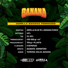 GORILLA BANANA x4 BSF - comprar online