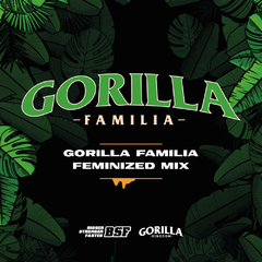 Familia Gorilla X12 - BSF