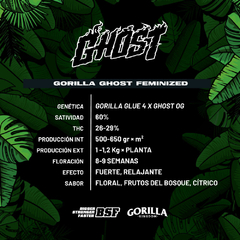 GORILLA GHOST x4 BSF - comprar online