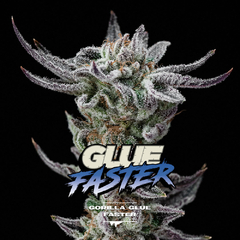 GORILLA GLUE FASTER BSF X2