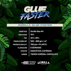 GORILLA GLUE FASTER x4 BSF - comprar online