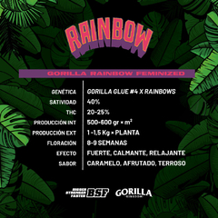 GORILLA RAINBOWS x4 BSF - comprar online