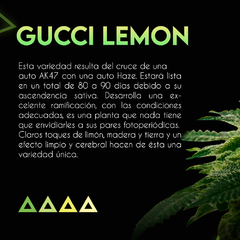 GUCCI LEMON AUTO x3 SE+ - comprar online