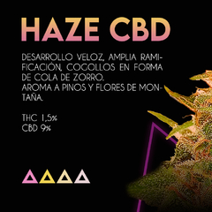 HAZE CBD SE+ X3 - comprar online