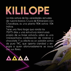 KILILOPE x3 SE+ - comprar online