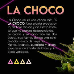 LA CHOCO (choco 2.0) x3 SE+ - comprar online