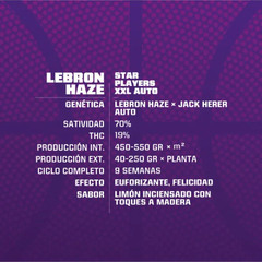 LEBRON HAZE AUTO x4 BSF - comprar online