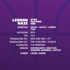 LEBRON HAZE BSF X2 - comprar online