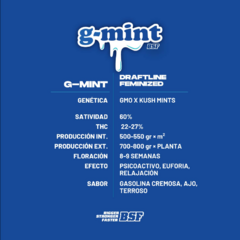 G-Mint x4 BSF - comprar online