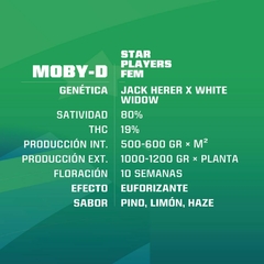 MOBY-D BSF X2 - comprar online