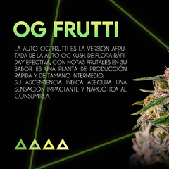 OG FRUTTI AUTO x3 SE+ - comprar online