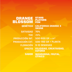 ORANGE BLOSSOM x4 BSF - comprar online