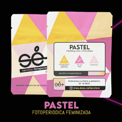 PASTEL x3 SE+