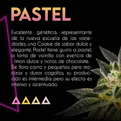 PASTEL x3 SE+ - comprar online