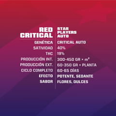 RED CRITICAL AUTO BSF X2 - comprar online