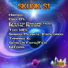 SKUNK S1 X3 - LECHUGA GENETICS - comprar online