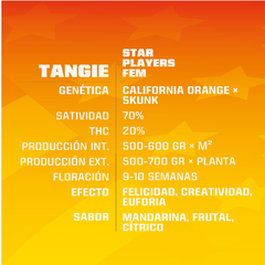 TANGIE BSF X2 - comprar online