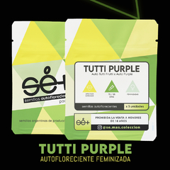 TUTTI PURPLE AUTO x3 SE+