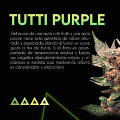 TUTTI PURPLE AUTO x3 SE+ - comprar online