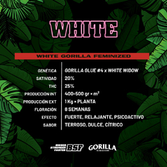 WHITE GORILLA BSF X2 - comprar online