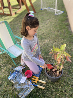 Kit de jardineria en internet