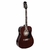 Violao Giannini Folk GD 1