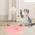 Brinquedo interativo com bola vazadora de comida - comprar online