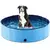 Piscina para Cães Dobrável - loja online