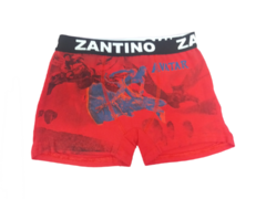 Imagen de boxer zantino niños