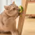 Catnip Fun - Brinquedo Interativo para Gatos - comprar online
